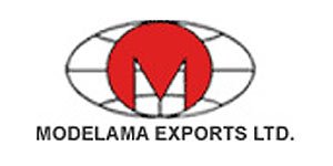 logo modelama